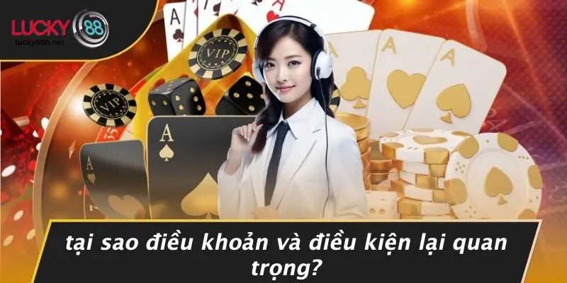 ĐIỀU KHOẢN VÀ ĐIỀU KIỆN: HƯỚNG DẪN BẢO VỆ QUYỀN LỢI