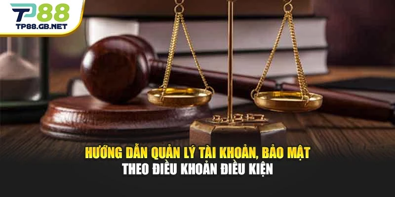 Điều Khoản Điều Kiện TP88 – Nắm Rõ Quy Định Khi Sử Dụng