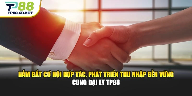 Đại Lý TP88 | Chính Sách Hợp Tác Rõ Ràng, Nhiều Ưu Đãi