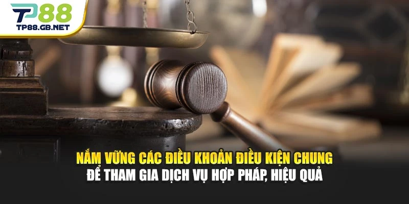 Điều Khoản Điều Kiện TP88 – Nắm Rõ Quy Định Khi Sử Dụng