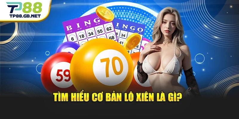 Lô Xiên TP88 | Thống Kê Kết Quả Và Xu Hướng Cho Hội Viên