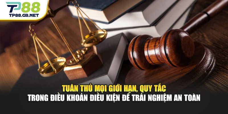 Điều Khoản Điều Kiện TP88 – Nắm Rõ Quy Định Khi Sử Dụng